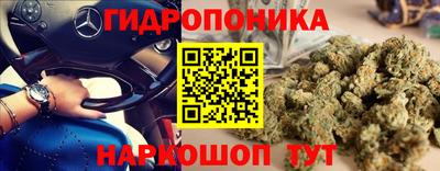 Альфа ПВП Тулун